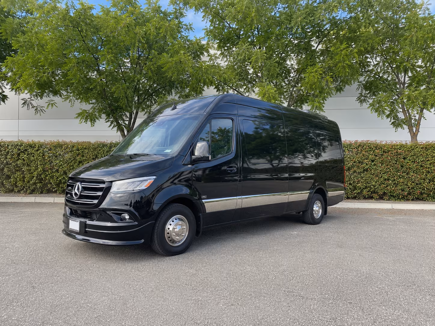 downey sprinter van with driver